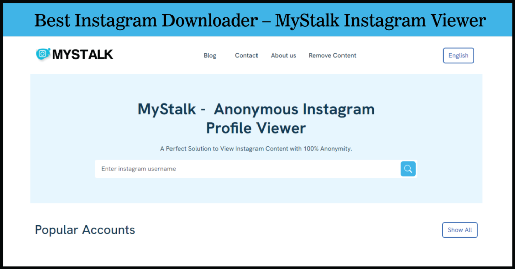 mystalk Instagram Stories Anonymously