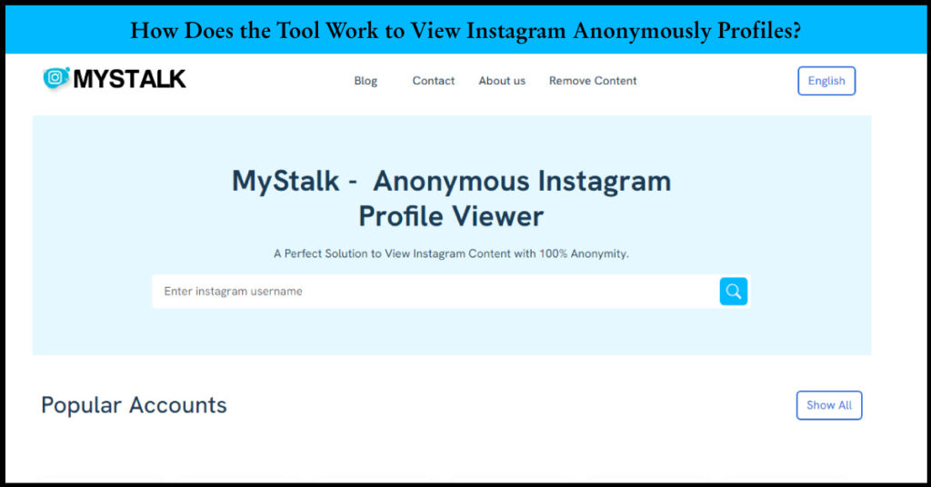 View Instagram Anonymously Profiles